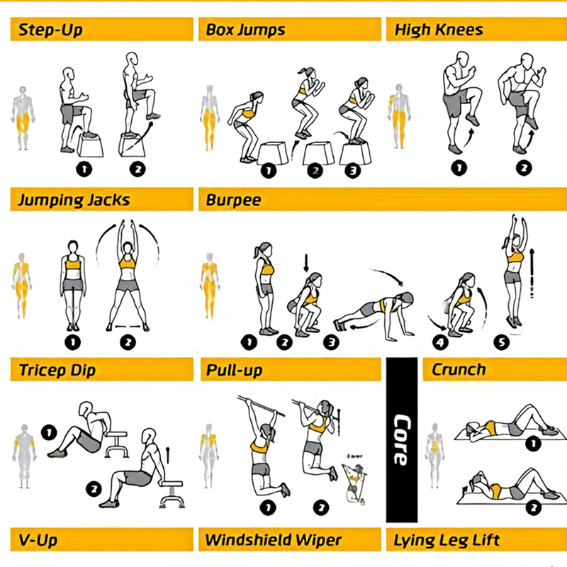 Workout Exercise Chart Posters - Sports Equipment Poster ulasan dan harga