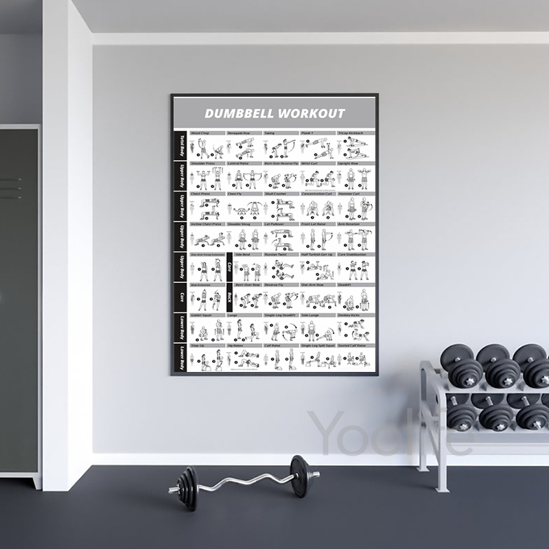 Workout Exercise Chart Posters - Sports Equipment Poster ulasan dan harga